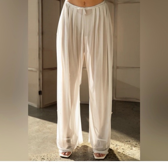 Joah Brown Pants - NWT Joah Brown Pleated Sheer Pant in Black  Mesh in Size M